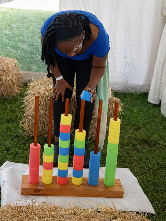 Color Sorting Rings Game Hire Nairobi Kenya